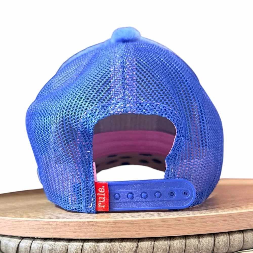 Overlord Women’s Care Bears Blue and Pink Mesh Trucker Hat, Grumpy Bear - Picture 3 of 5